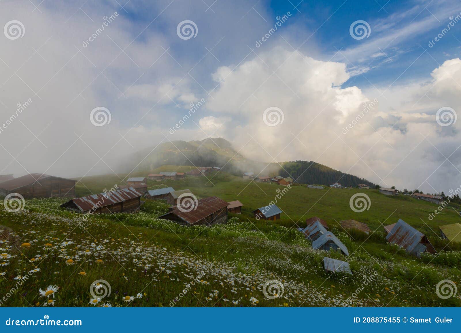 pokut plateau is a plateau located in Ãâ¡amlÃÂ±hemÃÅ¸in district of rize province